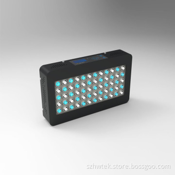 High Power 110W for Lps/Sps Aquarium Tank (2 dimmer, 2 switch)